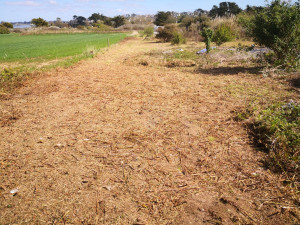 Photo de galerie - Défrichage de 900m2 apres