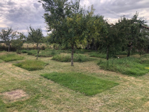 Photo de galerie - Tente de pelouse avec exigences du client