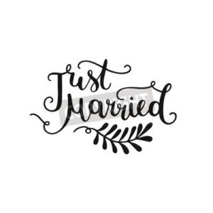 Photo de galerie - Transport de mariés et convives