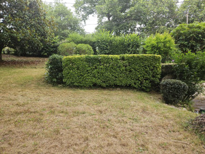 Photo de galerie - Après 