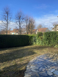 Photo de galerie - Débroussaillage de jardin