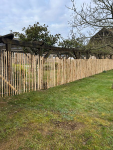 Photo de galerie - Paysagiste - Aménagement du jardin