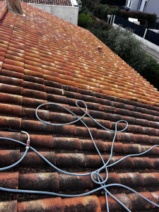 Photo de galerie - Traitement fongicide 

traitement hydrofuge 