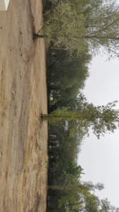 Photo de galerie - Terrassement - Assainissement