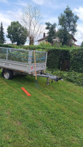 Photo de galerie - Taille et ramassages déchet vert 