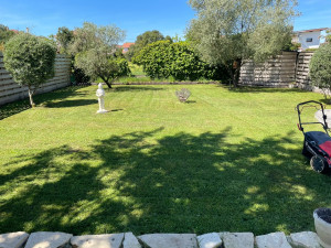 Photo de galerie - Tonte 