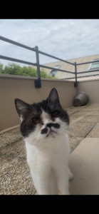 Photo de galerie - Moustache | 14 ans