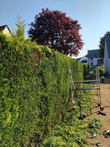 Photo de galerie - Chantier sur donges   Loire atlantique 