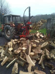 Photo de galerie - Fendeuse à bois 