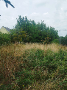 Photo de galerie - Paysagiste - Aménagement du jardin