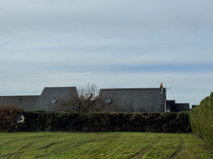 Photo de galerie - Elagage et coupe d'arbres