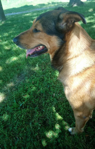 Photo de galerie - Léo 