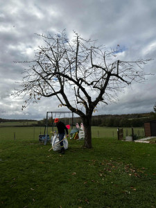 Photo de galerie - Une taille