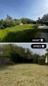 Photo de galerie - Débroussaillage, taille des haies, abattage des arbres, évacuation des déchets 