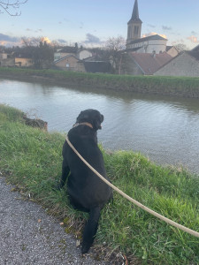 Photo de galerie - Promenade nature 