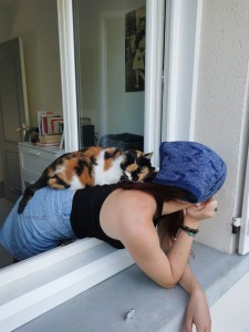 Photo de galerie - Garde chat