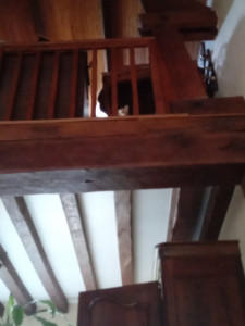 Photo de galerie - Garde chat