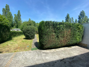 Photo de galerie - Remise au propre d’un jardin : débroussaillage, tonte, taille des haies 