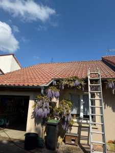 Photo de galerie - Couverture - Toiture