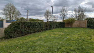 Photo de galerie - Taille de haies et d'arbustes