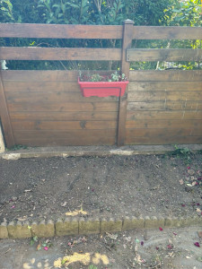 Photo de galerie - Taille de haies et d'arbustes