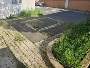 Photo de galerie - Photo AVANT : retrait des adventices (mauvaises herbes)