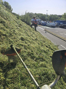 Photo de galerie - Tonte de pelouse - Débroussaillage
