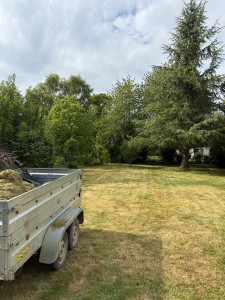 Photo de galerie - Tonte d’une pelouse de 50cm de hauteur d’un jardin de 900 mètres carrés 