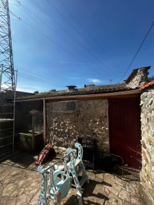 Photo de galerie - Enlèvement de lierre sur le toit 