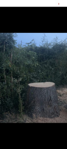 Photo de galerie - Suite 4