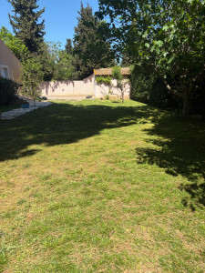 Photo de galerie - Tonte du printemps 