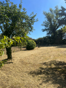 Photo de galerie - Entretien d’un terrain 