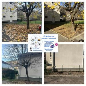 Photo de galerie - Abattage plus tonte de pelouse Nettoyage fin de chantier copropriété 