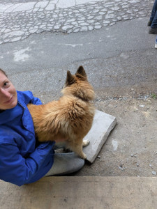 Photo de galerie - Pet-sitting