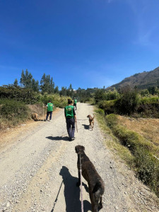 Photo de galerie - Promenade et jeux avec votre chien. possible d'aller courir également.