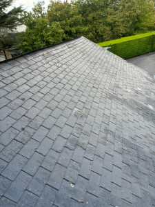 Photo de galerie - Demoussage d une toiture