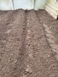 Photo de galerie - Jardinier