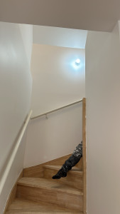Photo de galerie - Peinture - Tapisserie