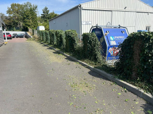 Photo de galerie - Et voici l’après 