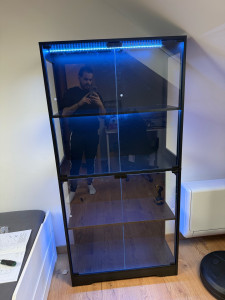 Photo de galerie - Vitrine 