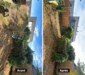 Photo de galerie - Abattage d’un buisson parti à la dérive. LD_entretien à su être la solution pour se chantier. 
