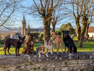 Photo de galerie - Randonnée à la journée 