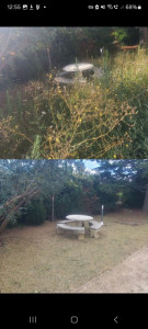 Photo de galerie - Remise a propre d'un jardin