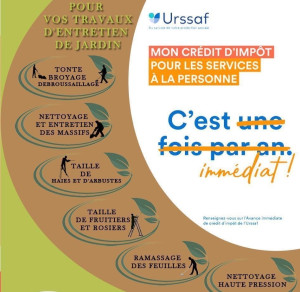 Photo de galerie - Entretien de jardin avec où s’en 50% de crédit d’impôt prix intéressent de 150 à 400€ € sur la taille tonte et débroussaillage  demander un devis profiter de l’offre du moment sur tout votre jardin 
