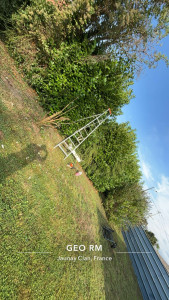 Photo de galerie - Taille de haies et d'arbustes