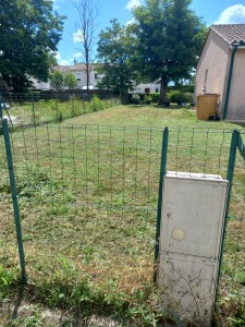 Photo de galerie - Tonte de pelouse - Débroussaillage