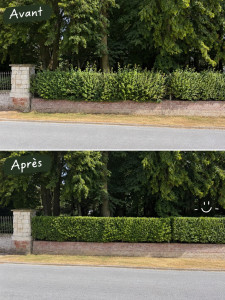 Photo de galerie - Travail réalisé :
Taille et remise en forme de la haie
Égalisation des côtés et du dessus
Suppression des branches qui dépassaient
Nettoyage de la haie après intervention
Ramassage des déchets de taille
L’objectif était de retrouver une haie propre, régul