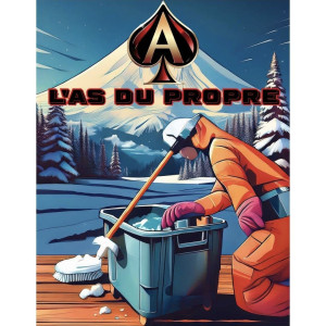 Photo de galerie - Entretiens des locaux 
remise en état 
nettoyage fin de chantier 
vitre 
nettoyage jardin debarrassage 