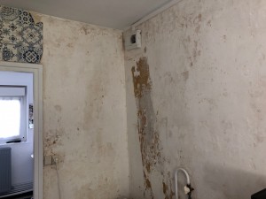 Photo de galerie - Peinture - Tapisserie