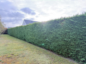 Photo de galerie - Photo avant taille 